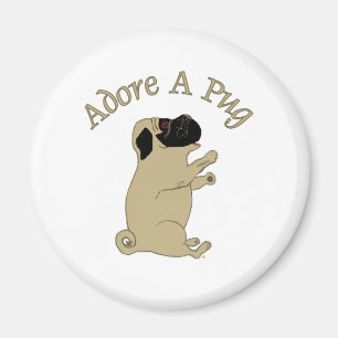 Imán adore un pug