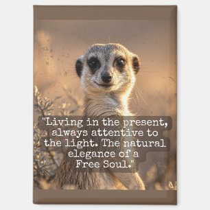 Imán Adventurous Meerkat Living