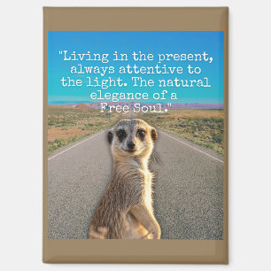 Imán Adventurous Meerkat Living
