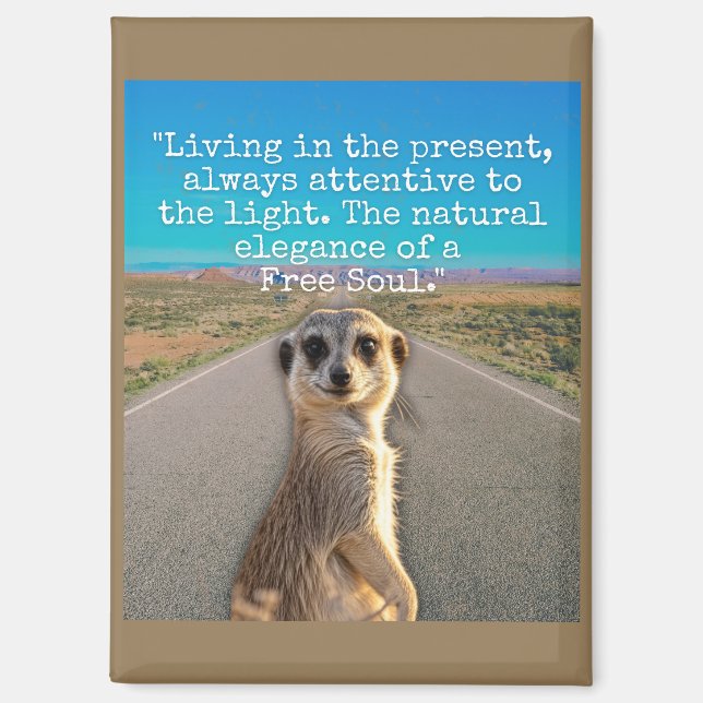 Imán Adventurous Meerkat Living (Anverso)