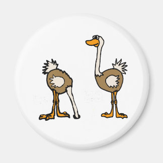 Imán AE - Ostriches en arena