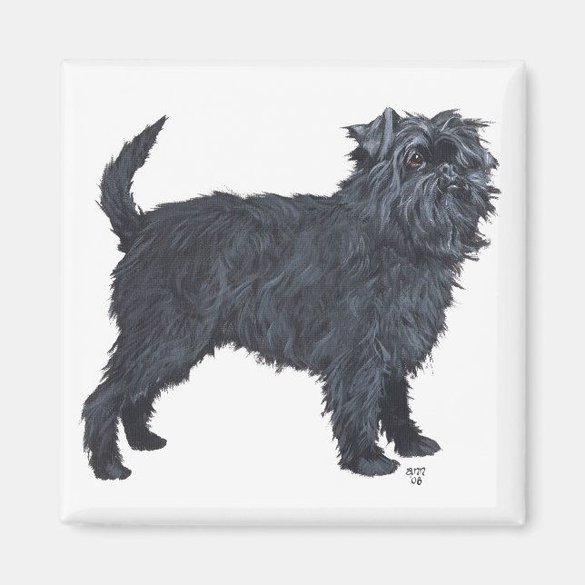 Imán Affenpinscher (Frente)