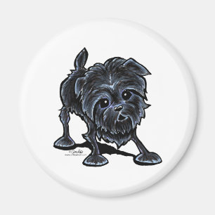 Imán Affenpinscher en juego