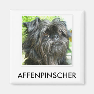 Imán Affenpinscher Magnet