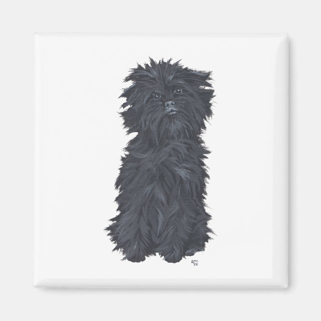 Imán Affenpinscher Sentado (Frente)