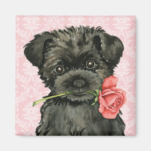 Imán Affenpinscher subió tarjeta del día de San