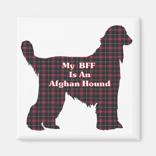 IMÁN AFGHAN HOUND BFF (Frente)
