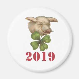 Imán Afortunado cerdo con amante en la boca - Año del c