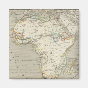 Imán África 8