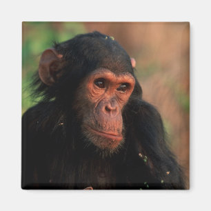 Imán África, África Oriental, Tanzania