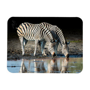 Imán África,Botsuana, Delta del Okavango, Davison Camp