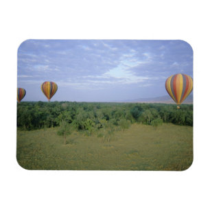 Imán África, Kenya, Reserva Nacional Masai Mara, 2