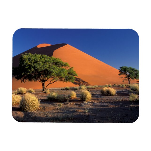 Imán África, Namibia, el parque Namib-Naukluff, Sossosv (Horizontal)