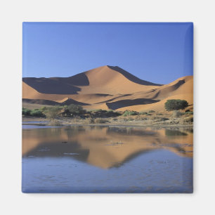 Imán África, Namibia, Parque Nacional Namib, Sossusvle