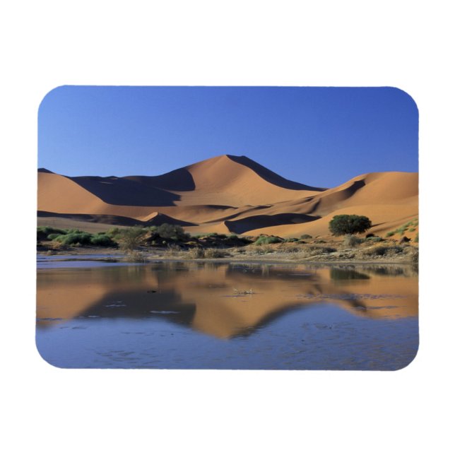 Imán África, Namibia, Parque Nacional Namib, Sossusvlei (Horizontal)