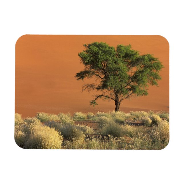 Imán África, Namibia, Parque Nacional Namib, Sossusvlei (Horizontal)