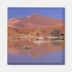Imán África, Namibia. Parque Namib-Naukluft. 2