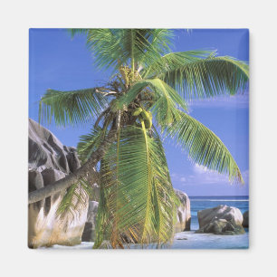 Imán África, Seychelles, Isla La Digue. Granito 2