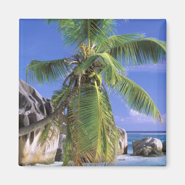 Imán África, Seychelles, Isla La Digue. Granito 2 (Frente)
