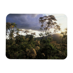 Imán África, Tanzania, Área de Conservación de Ngorongo