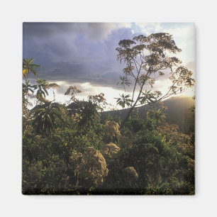 Imán África, Tanzania, Área de conservación de Ngorongo