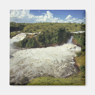 Imán África, Uganda, Parque Nacional de las Cataratas M