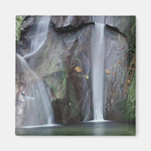 Imán África, Uganda, selva impenetrable de Bwindi,
