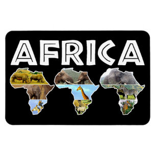 Imán Africa Wildlife Continent Trio Collage Magnet