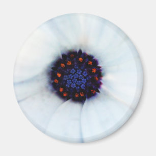 Imán African Daisy
