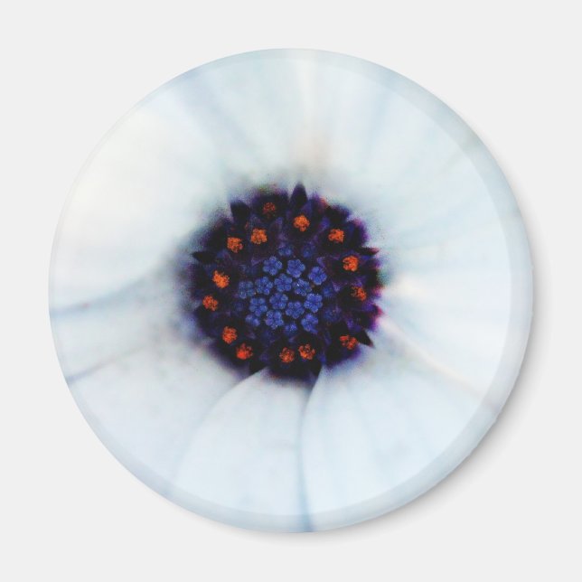 Imán African Daisy (Frente)