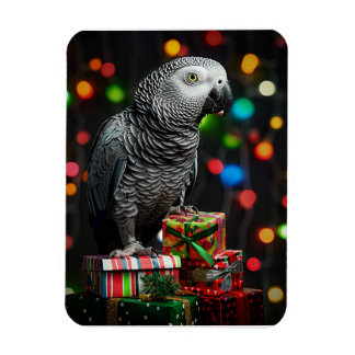 Imán African Grey on Gifts — Festive Greeting Card