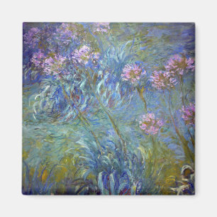 Imán Agapanthus, Monet