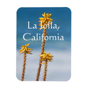 Imán Agave junto al océano La Jolla, California