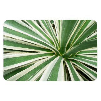 Imán Agave Plant Green y White Strike