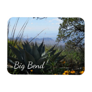 Imán Agave y Wildflowers, Parque Nacional Big Bend