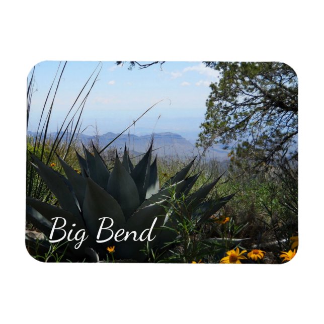 Imán Agave y Wildflowers, Parque Nacional Big Bend (Horizontal)