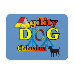 Imán Agilidad de Chihuahua