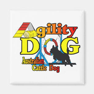 Imán Agilidad del perro de ganado vacuno australiano