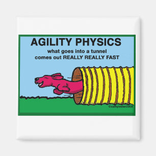 Imán AgilityPhysics