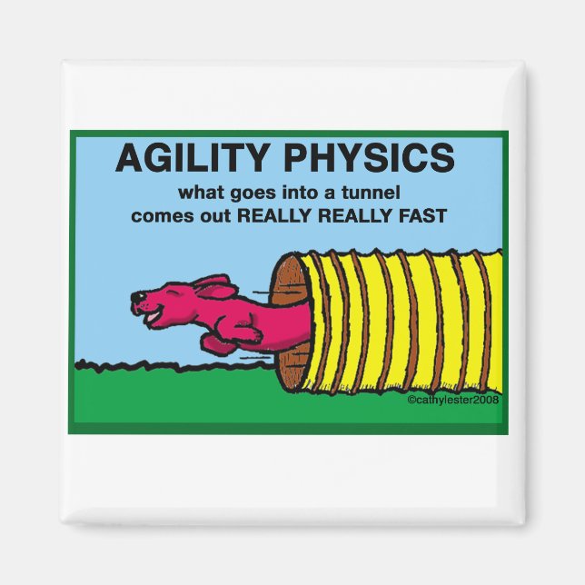 Imán AgilityPhysics (Frente)
