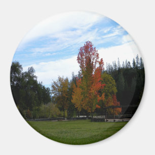 Imán Agradable Día de Otoño...