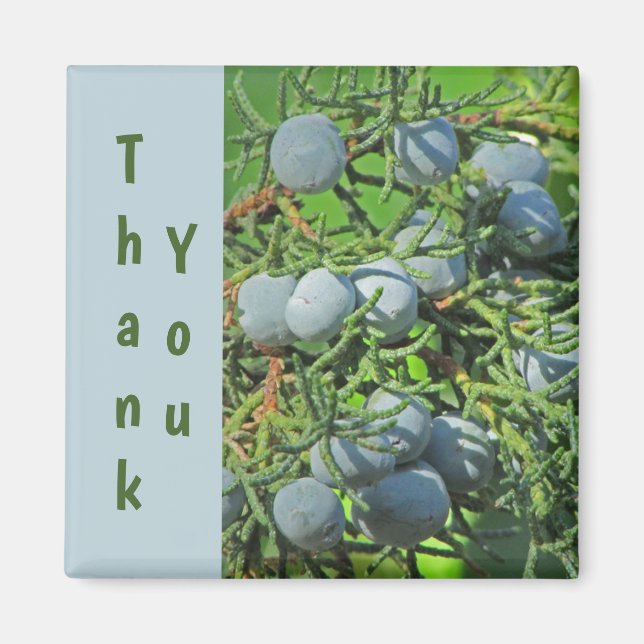 Imán Agradecemos la foto de Spring Pine Berries (Frente)