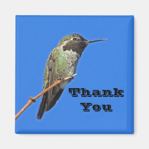 Imán Agradecimiento Colibrí Foto Apreciación de la Natu