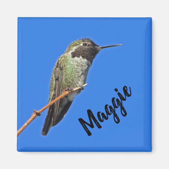 Imán Agradecimiento de Hummingbird Photo Nature (Frente)
