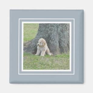 Imán Agrega tu foto a la granja moderna azul y blanco