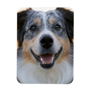 Imán Agregar foto de mascota personalizar