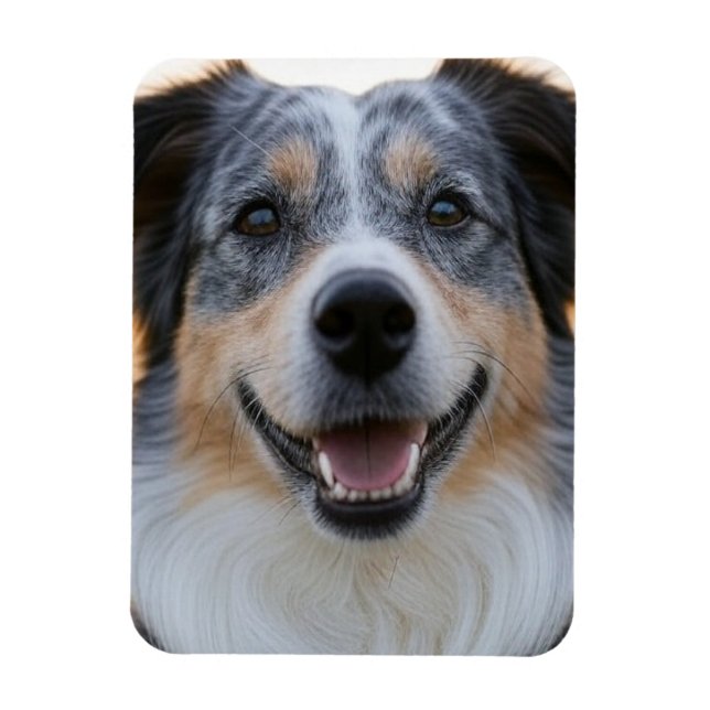 Imán Agregar foto de mascota personalizar (Vertical)