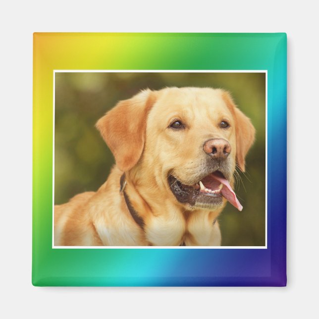 IMÁN AGREGAR FOTO DE MASCOTAS (Frente)