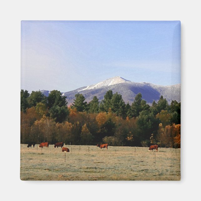 Imán agrícola de Adirondack (Frente)