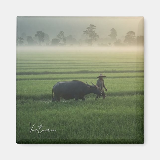 Imán Agricultor con viaje de búfalo a Vietnam (Frente)